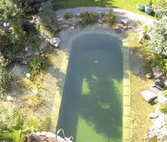 Natural Ponds & Pools